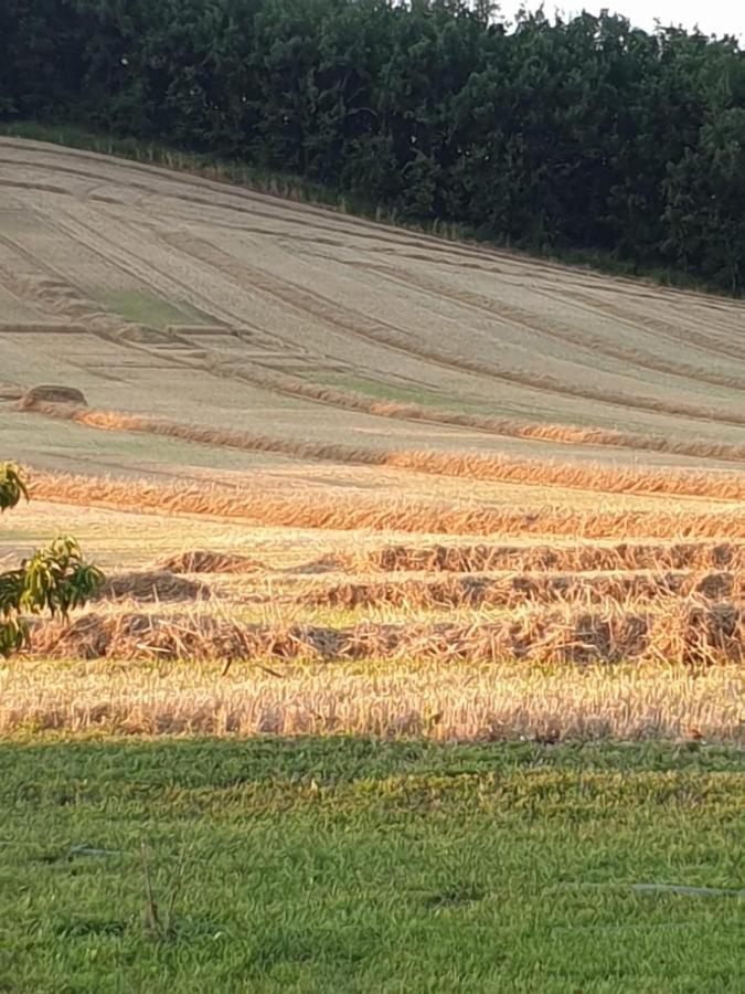 Les Cypres De Crose I Vila Badefols-sur-Dordogne Exterior foto